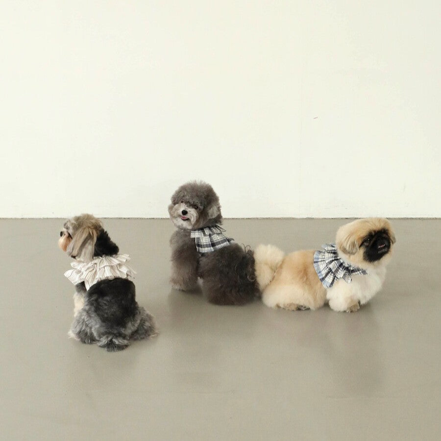 【予約】capeness no.7