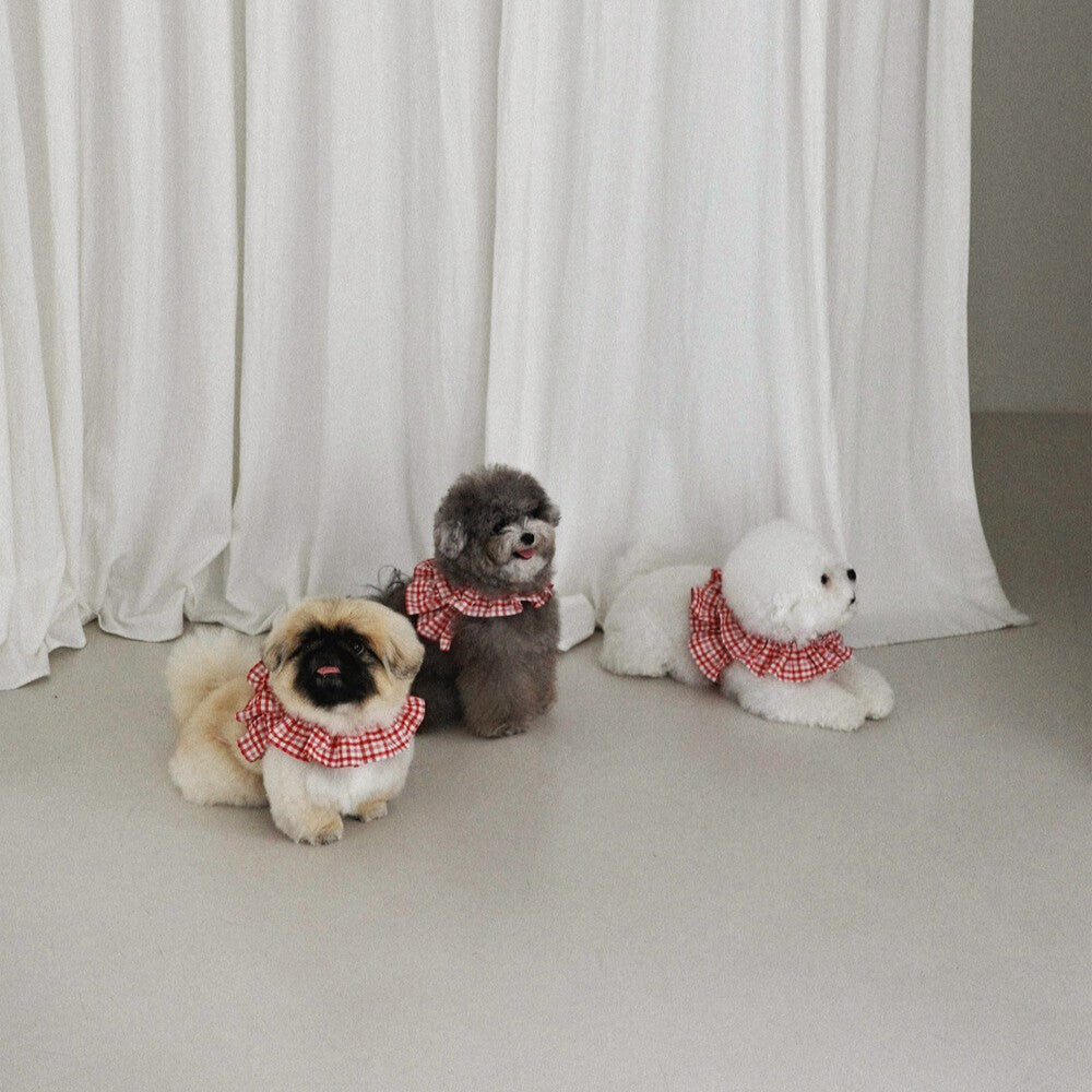 【予約】capeness no.8