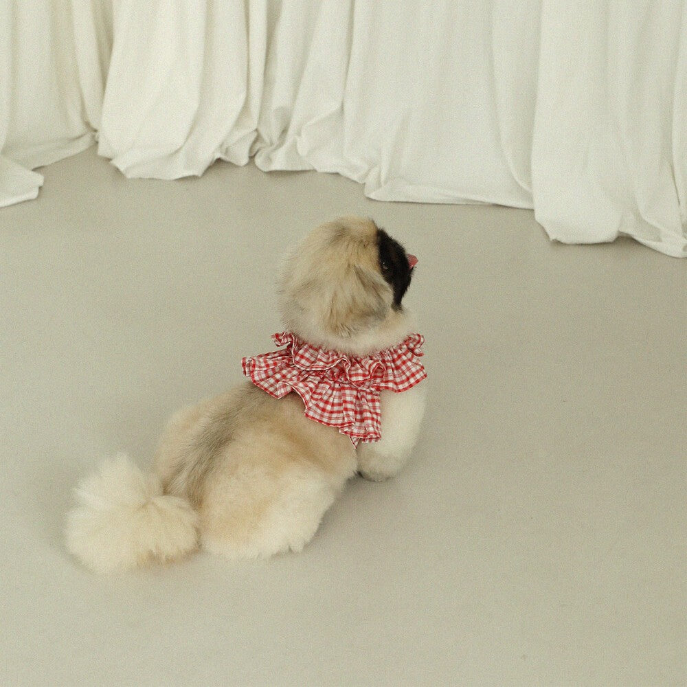 【予約】capeness no.8