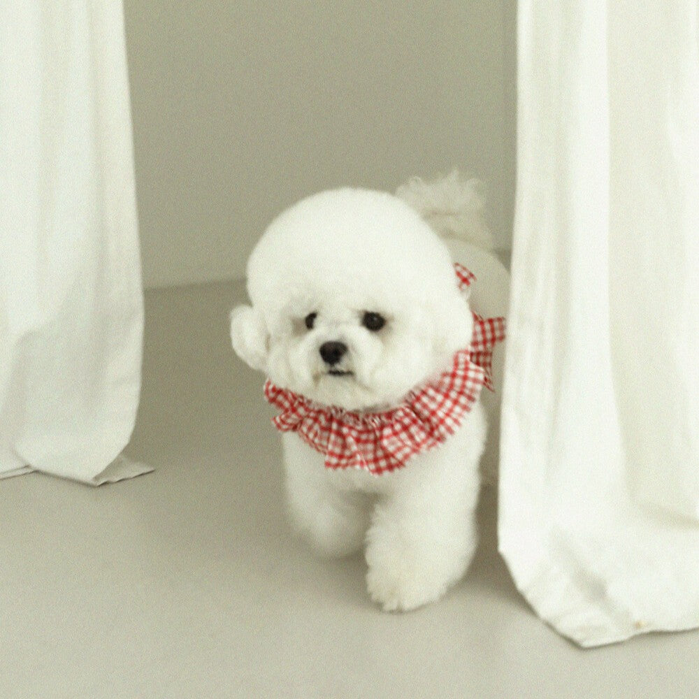 【予約】capeness no.8