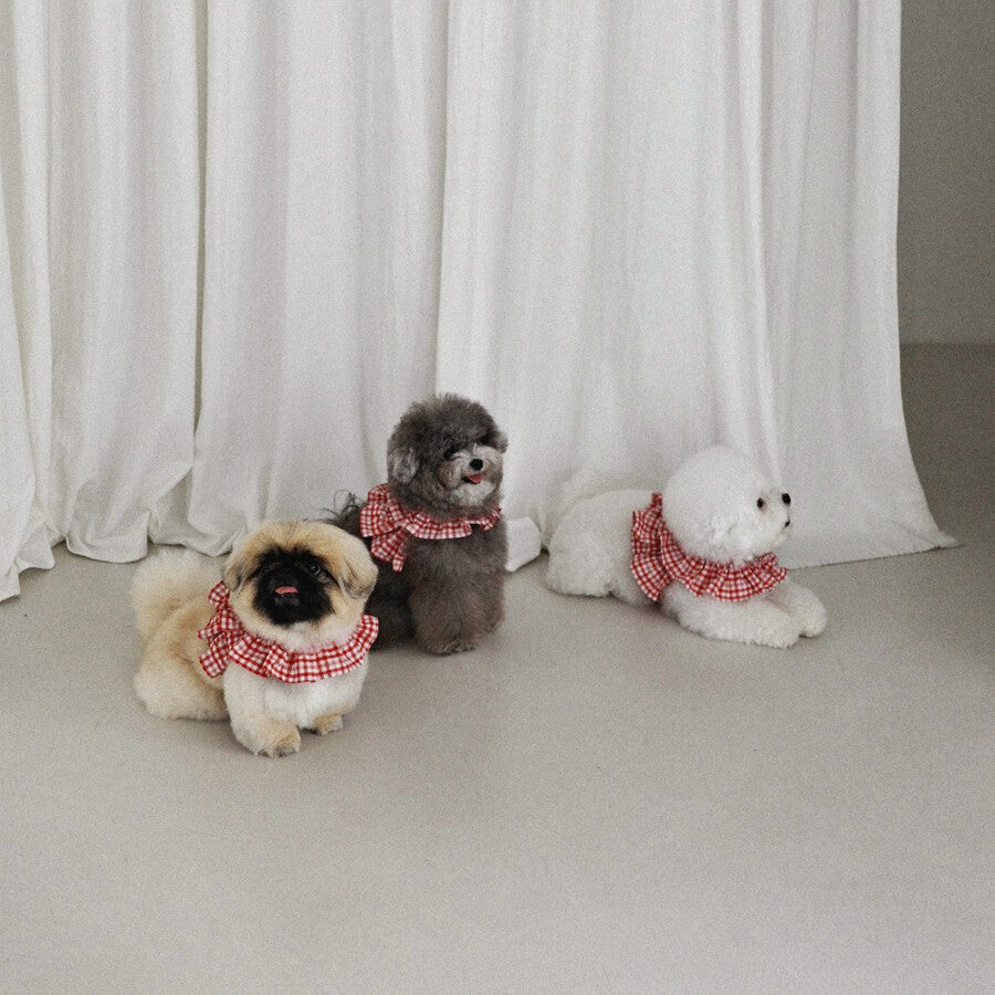 【予約】capeness no.8