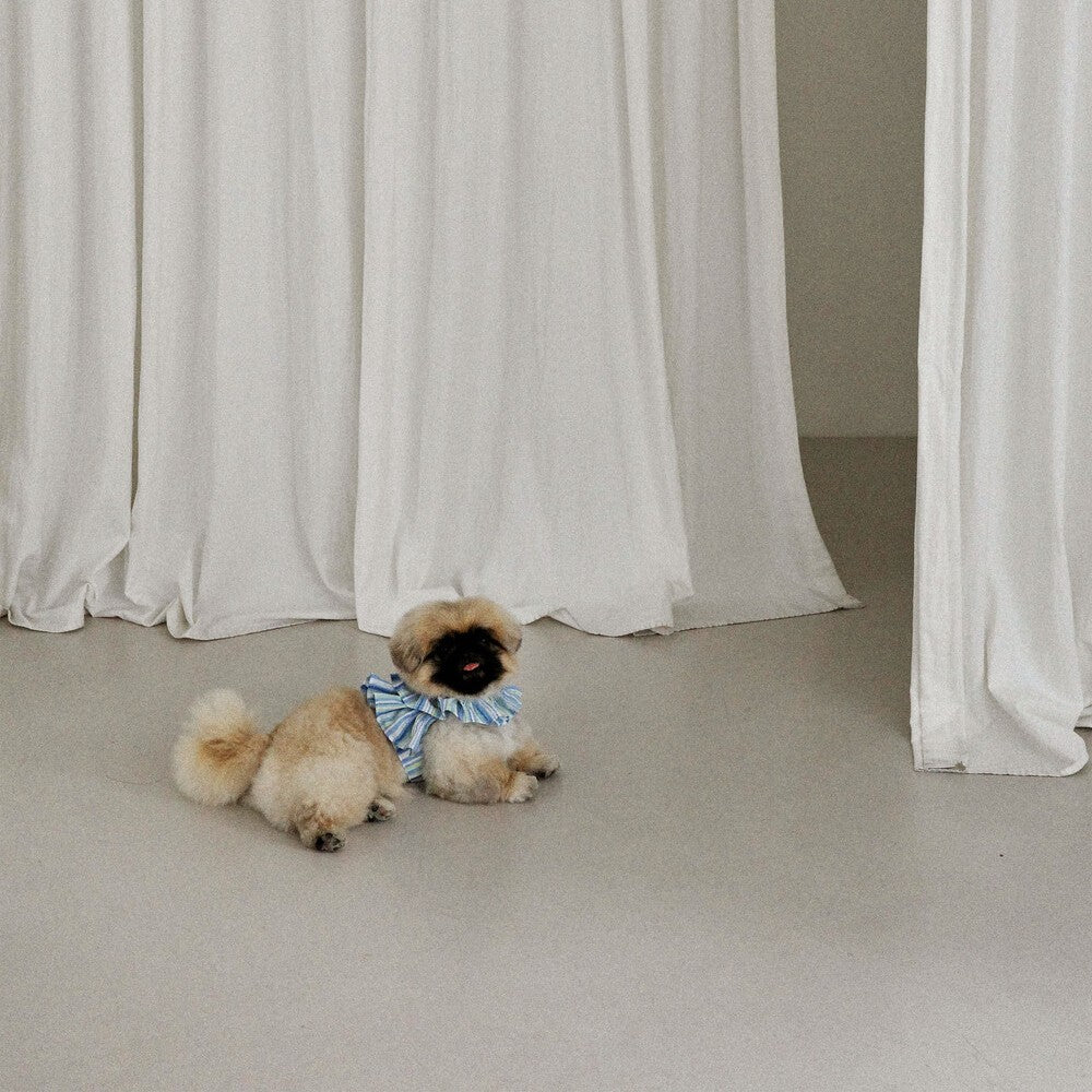 【予約】capeness no.9