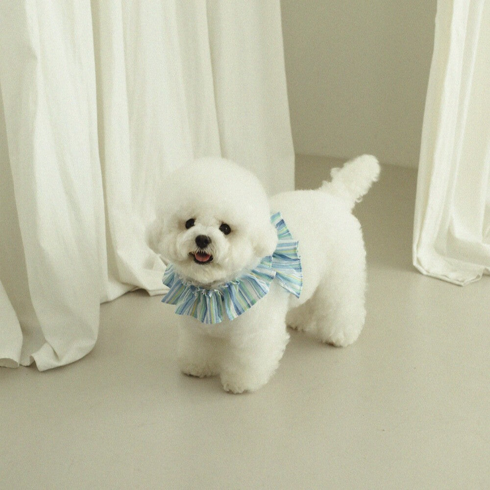 【予約】capeness no.9