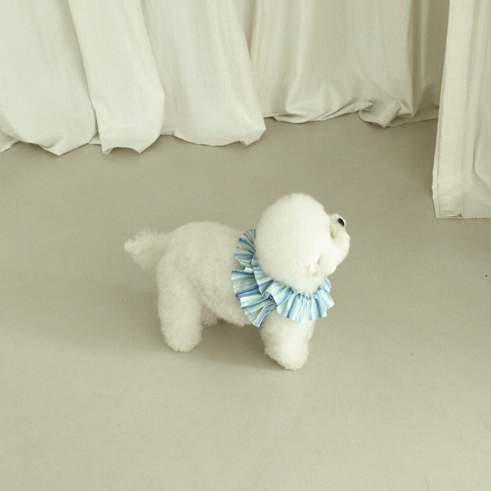 【予約】capeness no.9