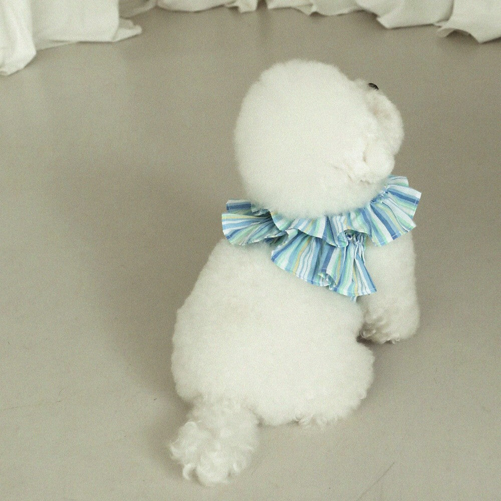 【予約】capeness no.9