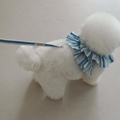 【予約】capeness no.9 leash