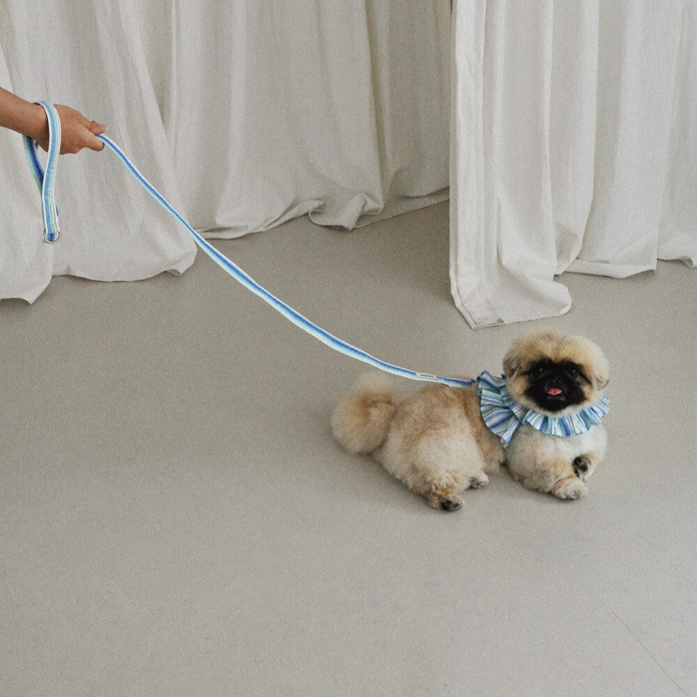 【予約】capeness no.9 leash