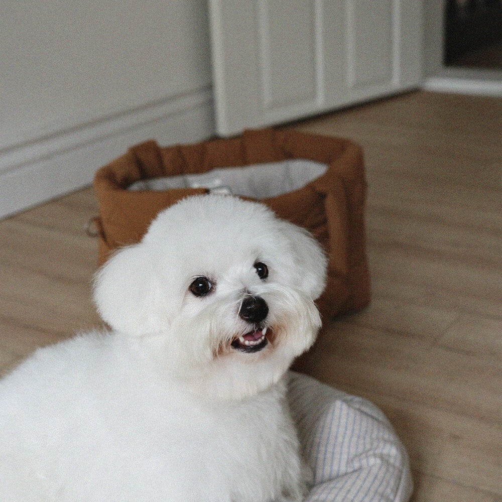 【予約】Snuggle Basket