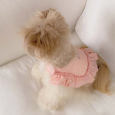 【予約】エアフリルハーネス - コーラルストライプ