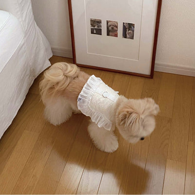 【予約】エアフリルハーネス - ホワイト