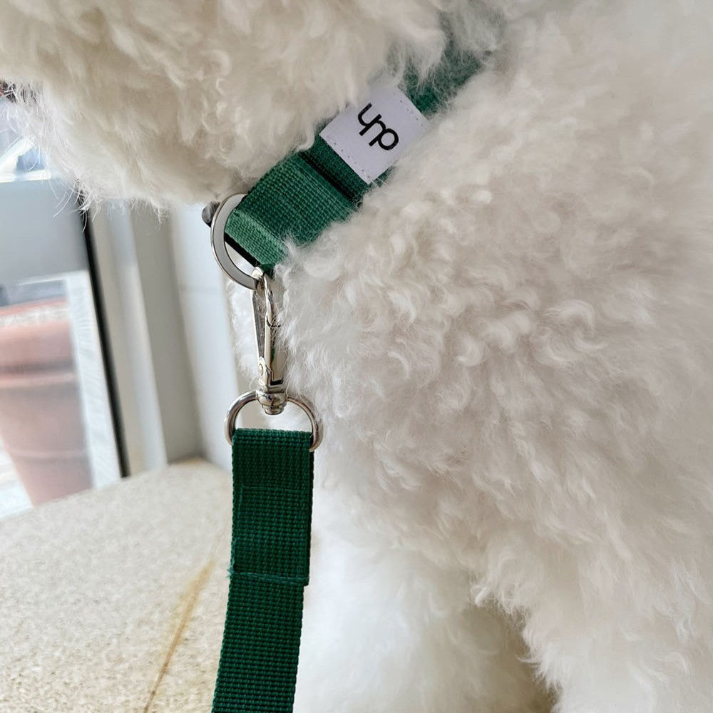【予約】Basic color collar & handsfree leash