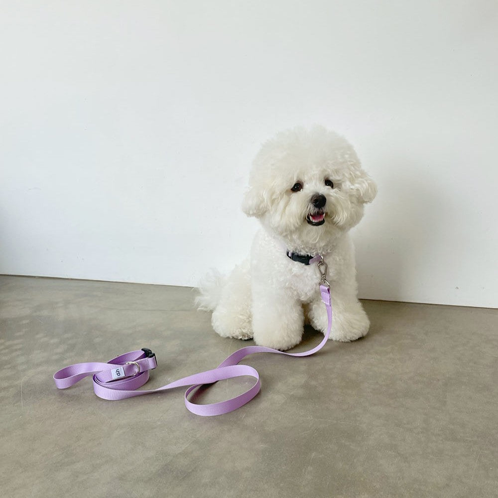 【予約】Basic color collar & handsfree leash