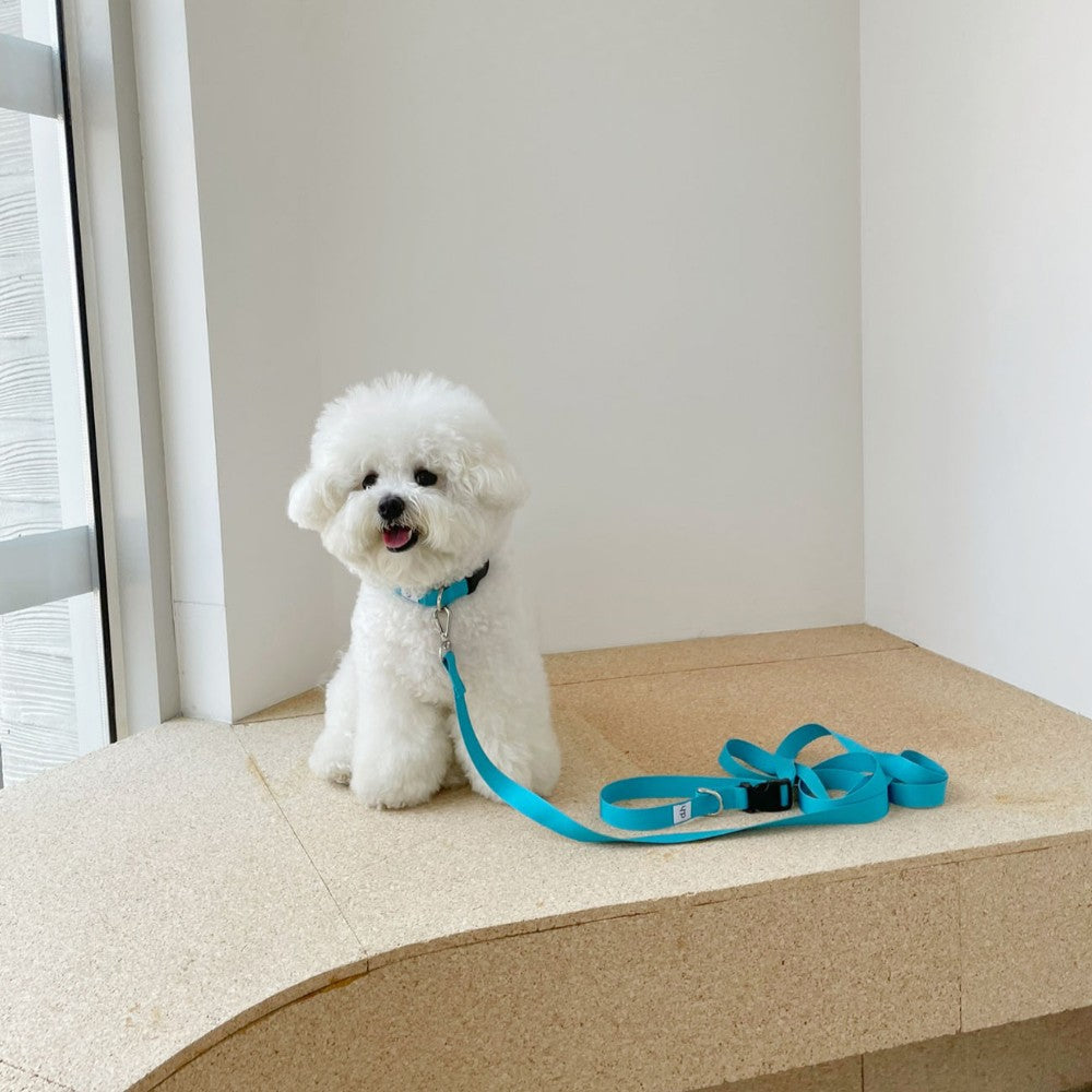 【予約】Basic color collar & handsfree leash