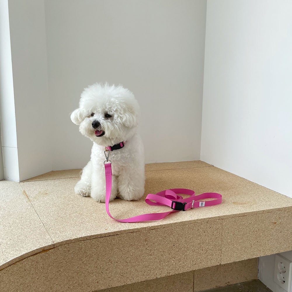 【予約】Basic color collar & handsfree leash