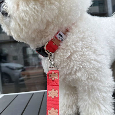 【予約】jelly bear collar