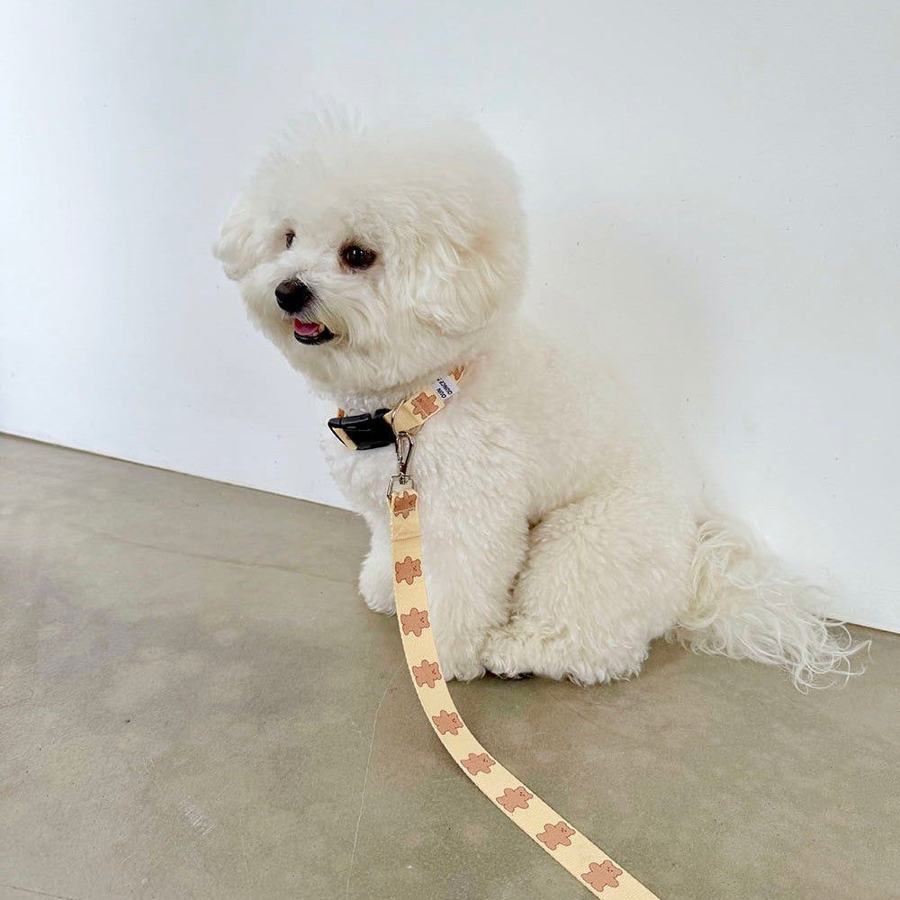 【予約】jelly bear collar
