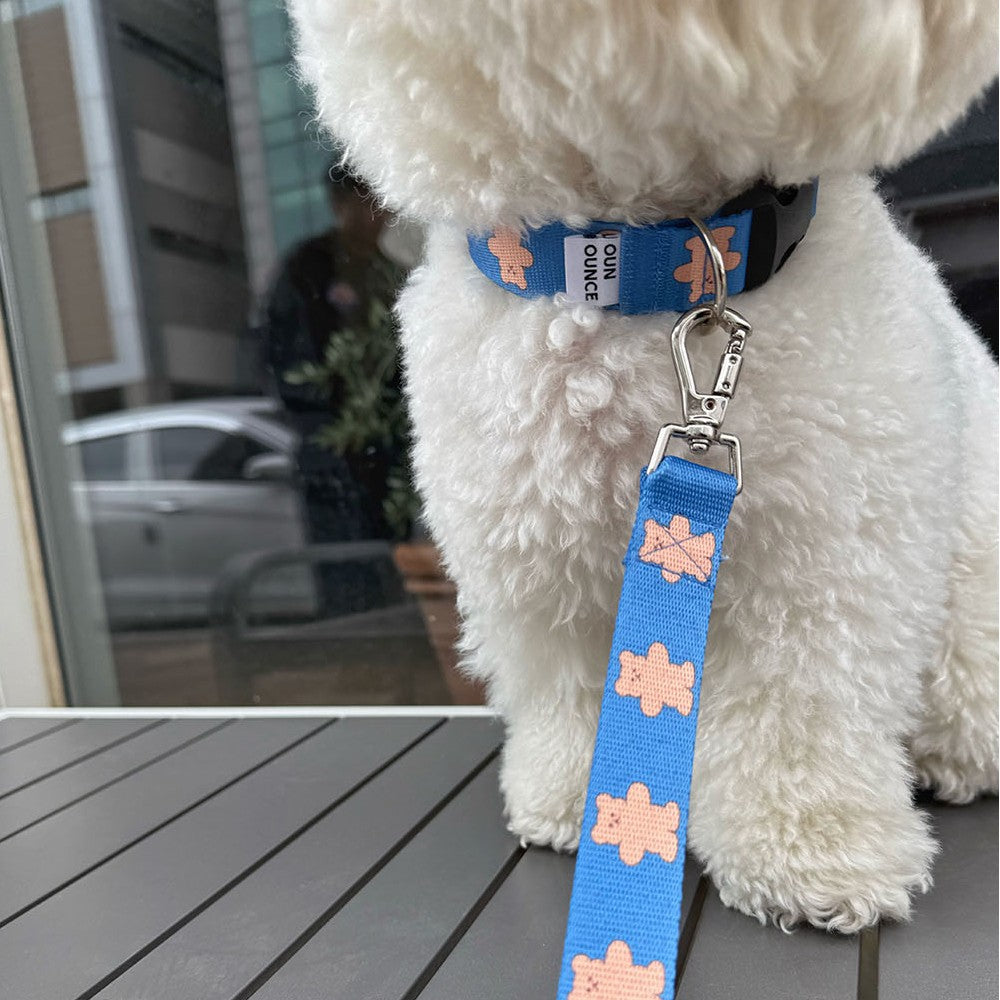 【予約】jelly bear collar
