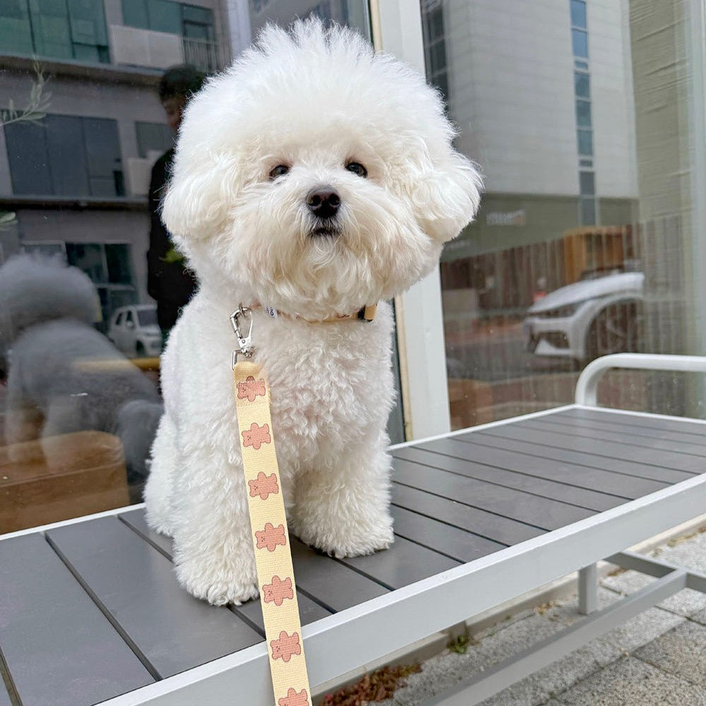 【予約】jelly bear collar