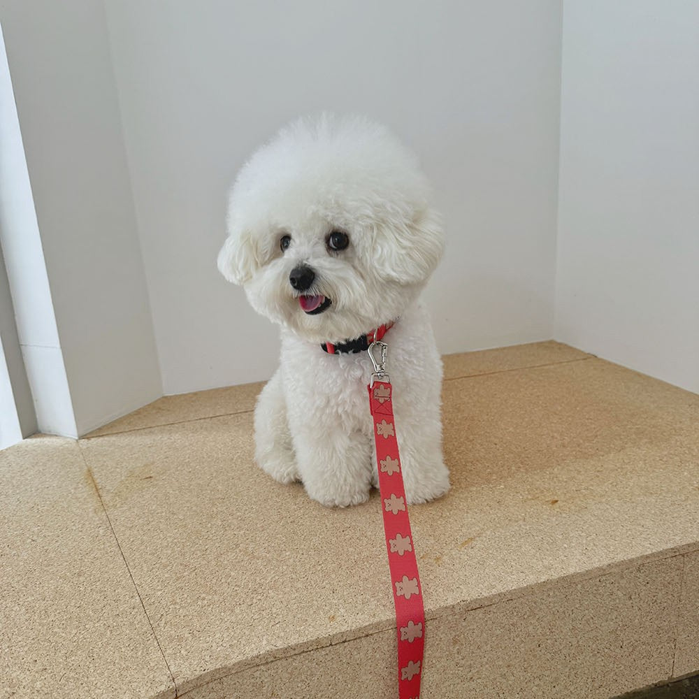 【予約】jelly bear collar