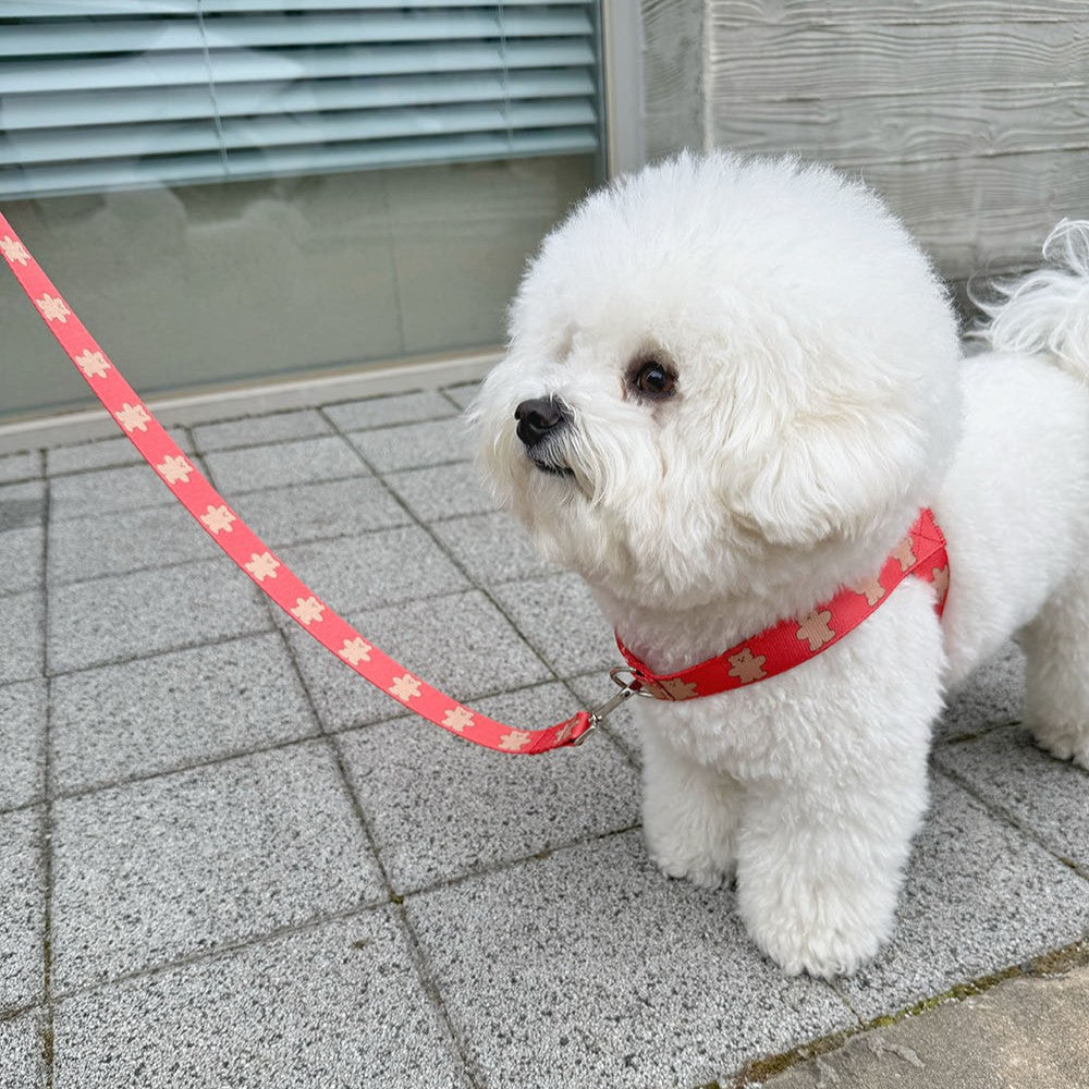 【予約】jelly bear harness