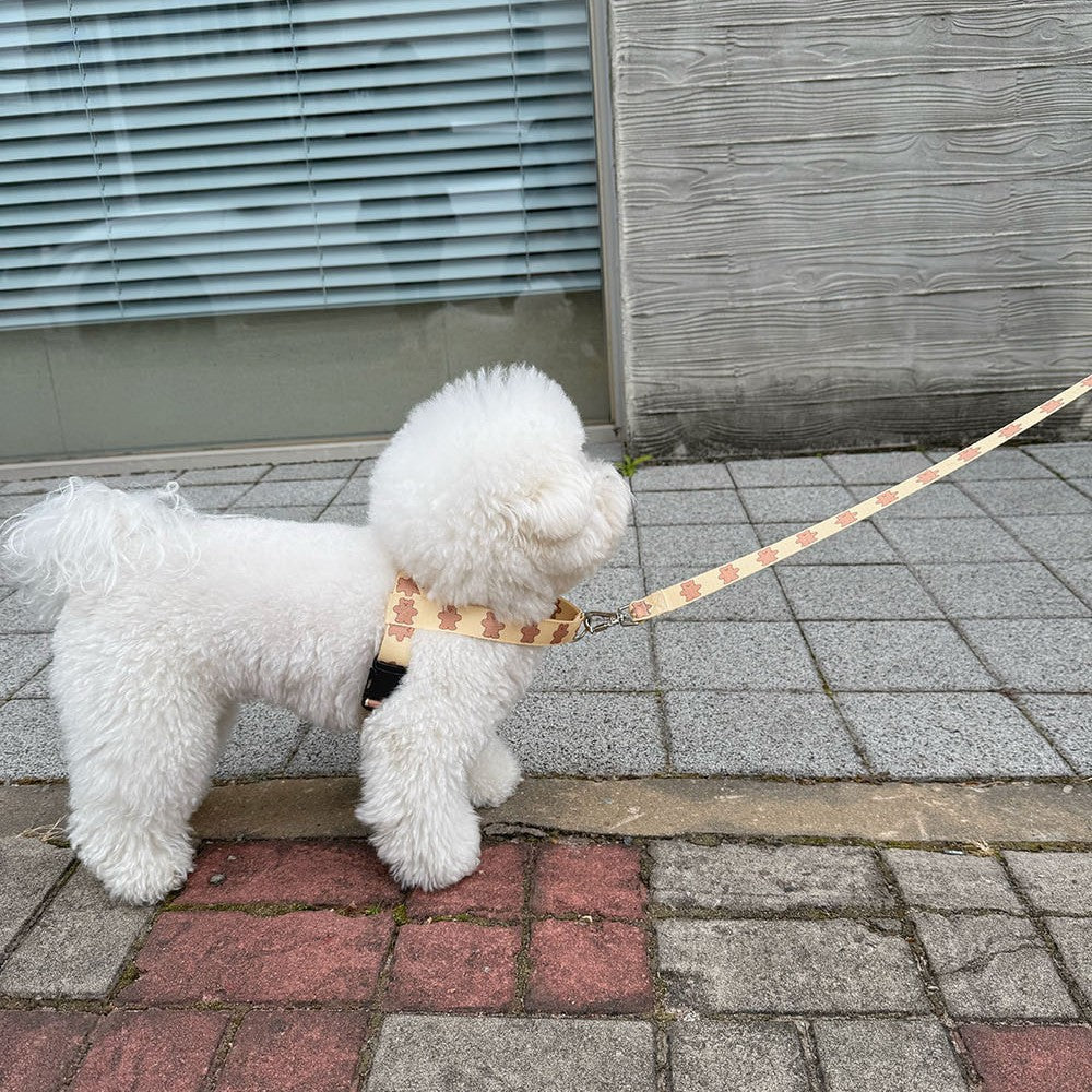 【予約】jelly bear harness