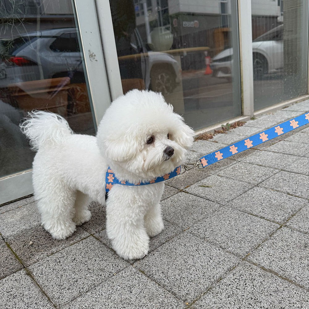 【予約】jelly bear harness