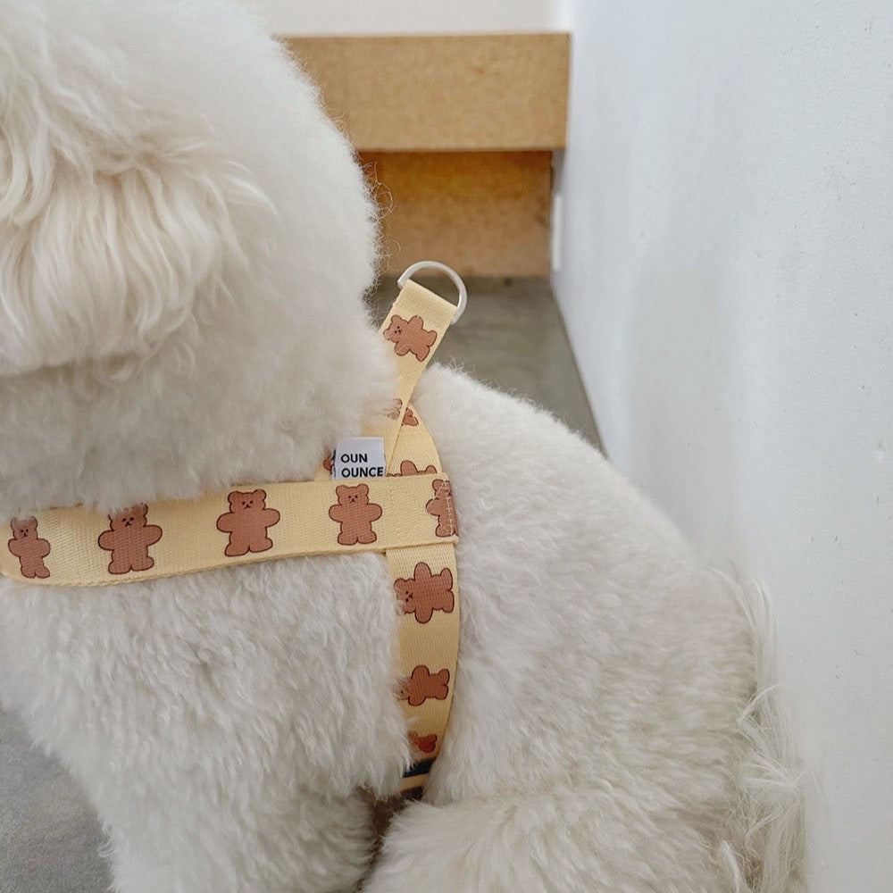 【予約】jelly bear harness