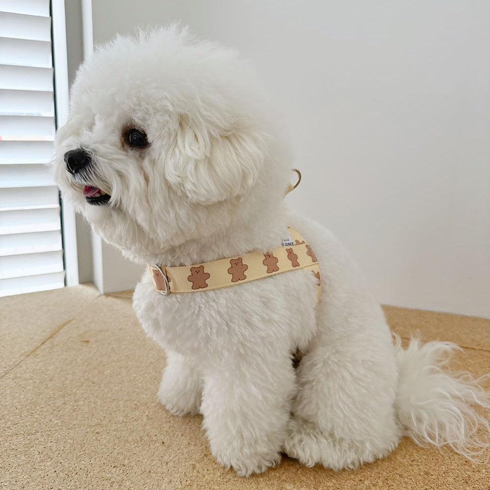 【予約】jelly bear harness
