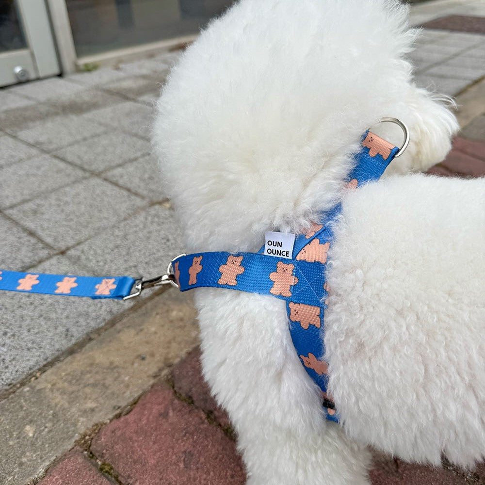 【予約】jelly bear harness