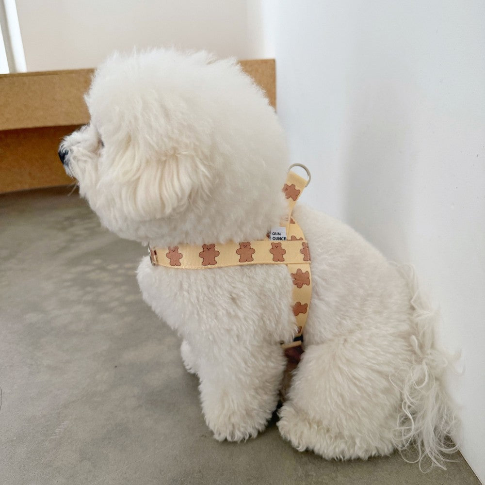 【予約】jelly bear harness
