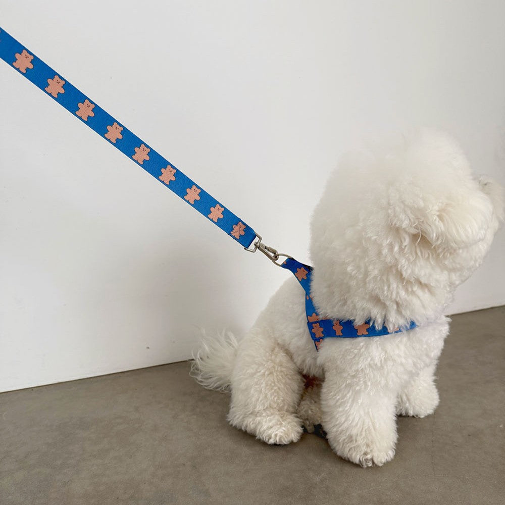 【予約】jelly bear harness