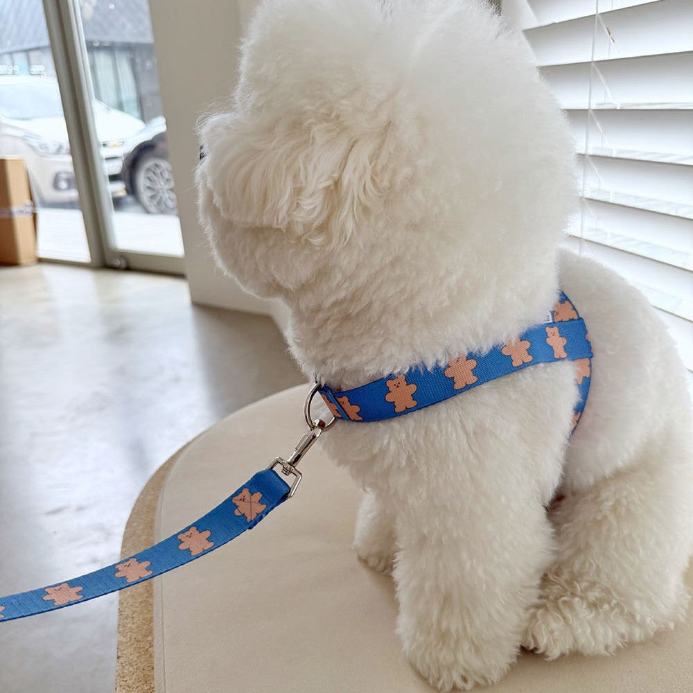 【予約】jelly bear harness