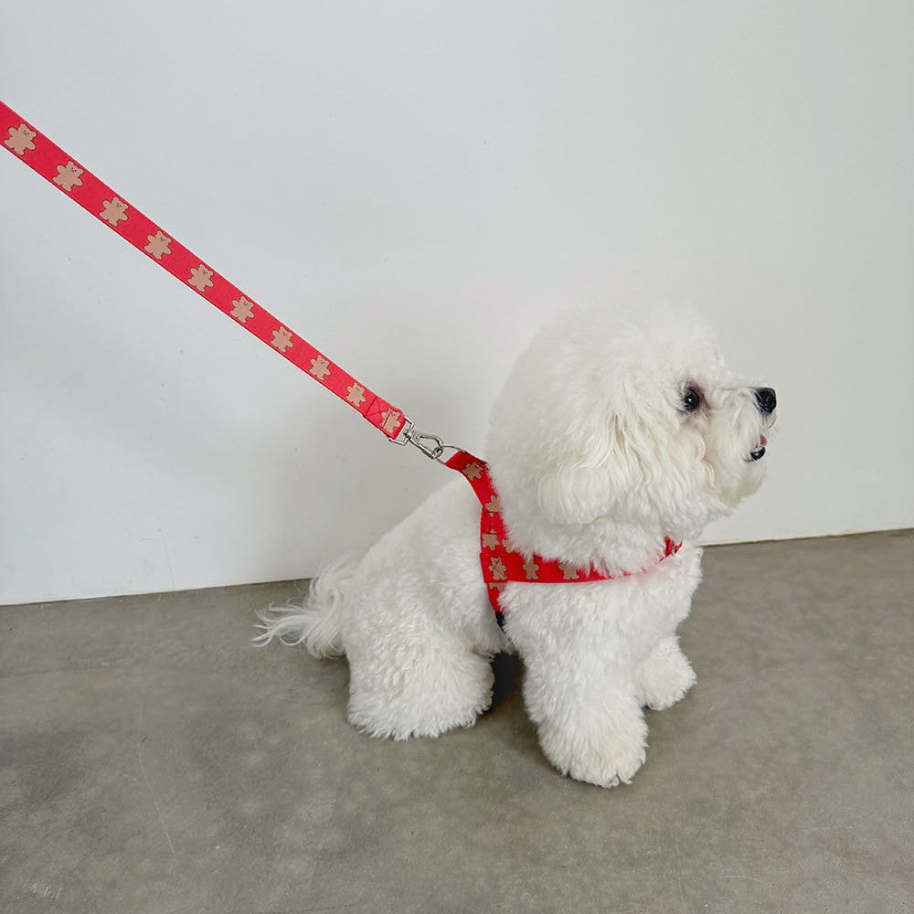 【予約】jelly bear harness