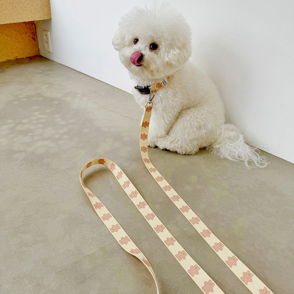 【予約】jelly bear collar