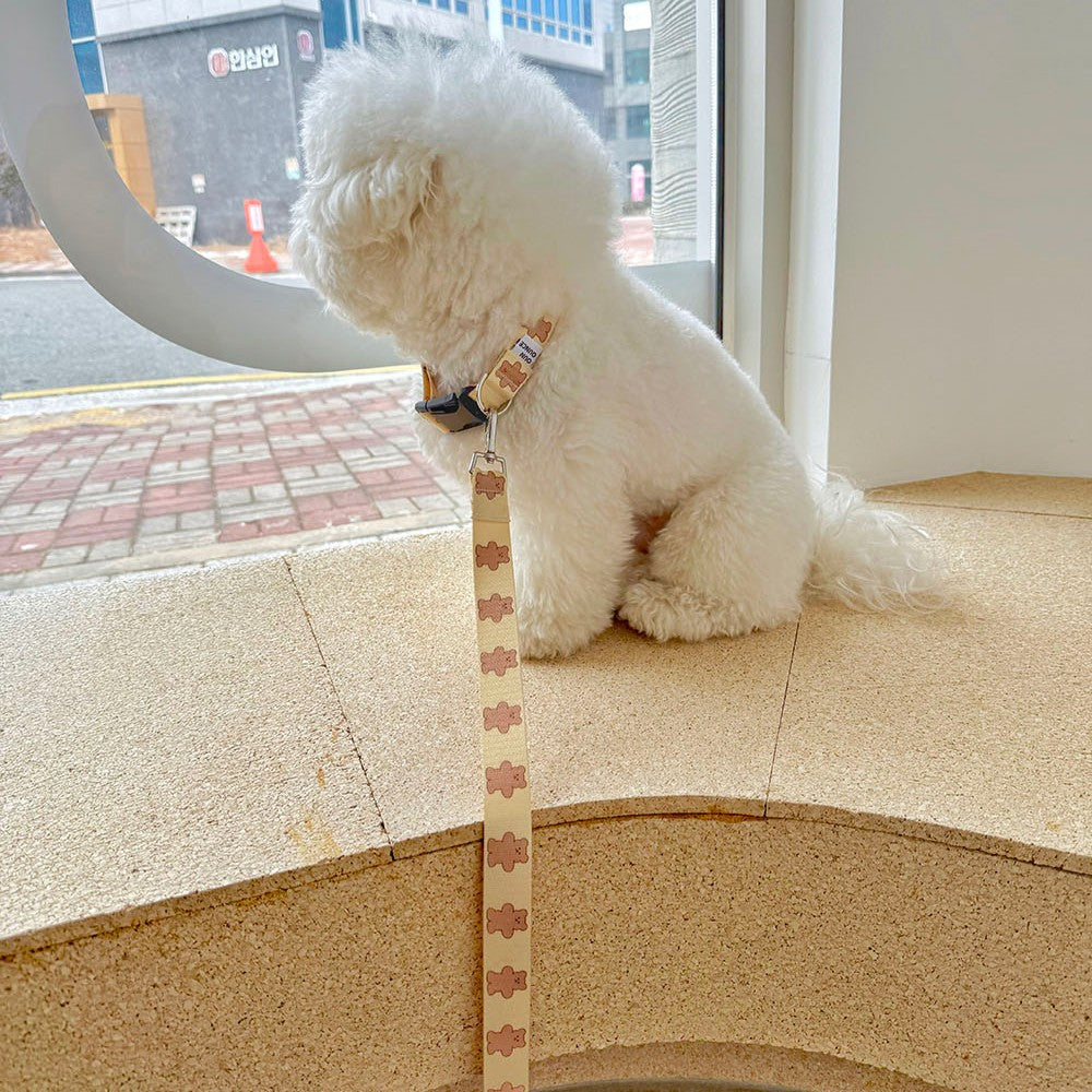 【予約】jelly bear collar