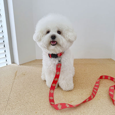 【一部即納】jelly bear leash