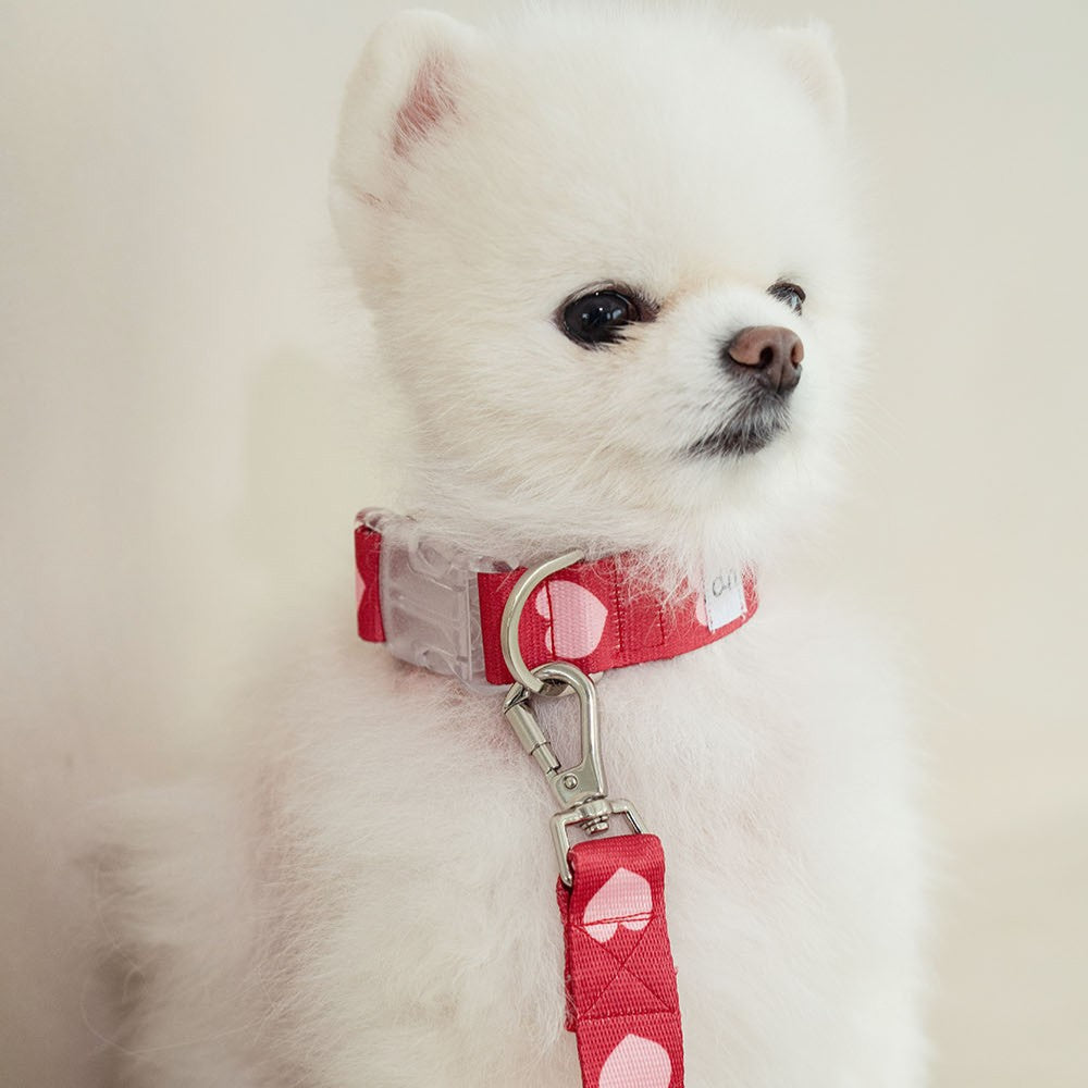 【予約】heart bongbong collar