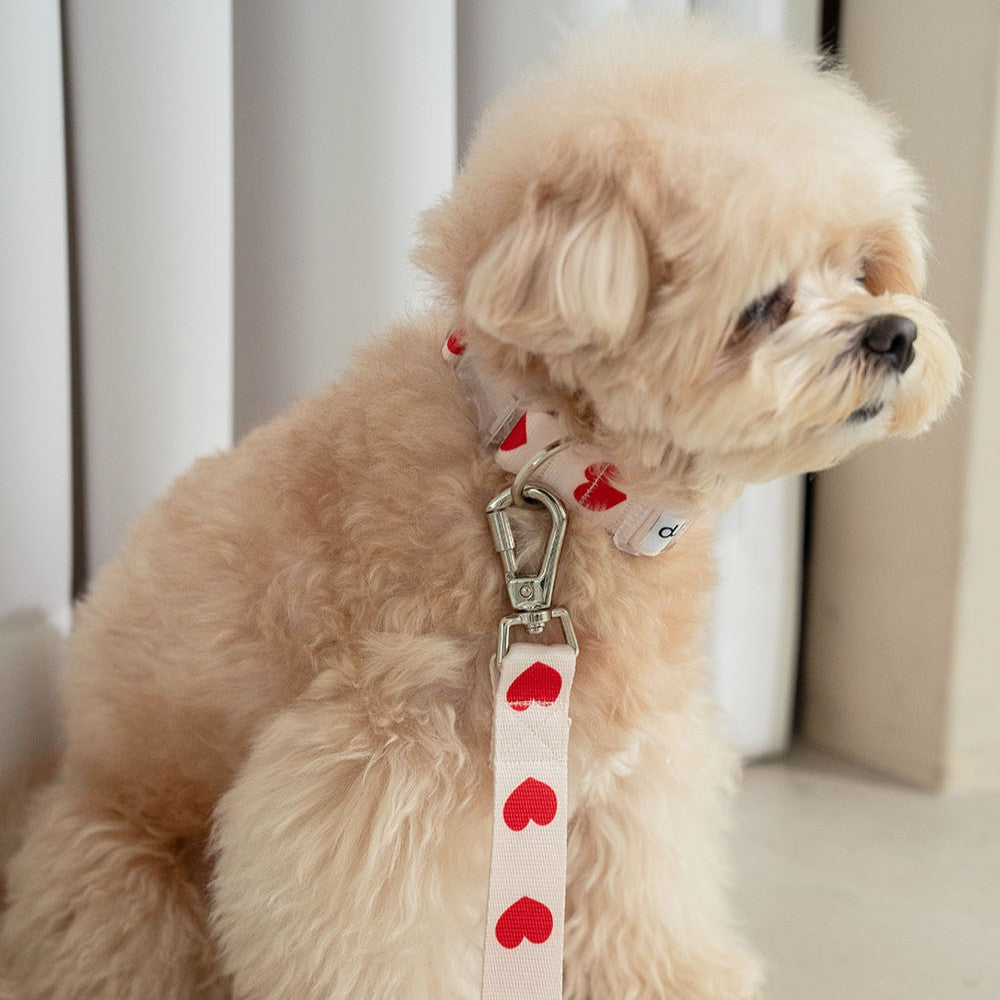 【予約】heart bongbong collar
