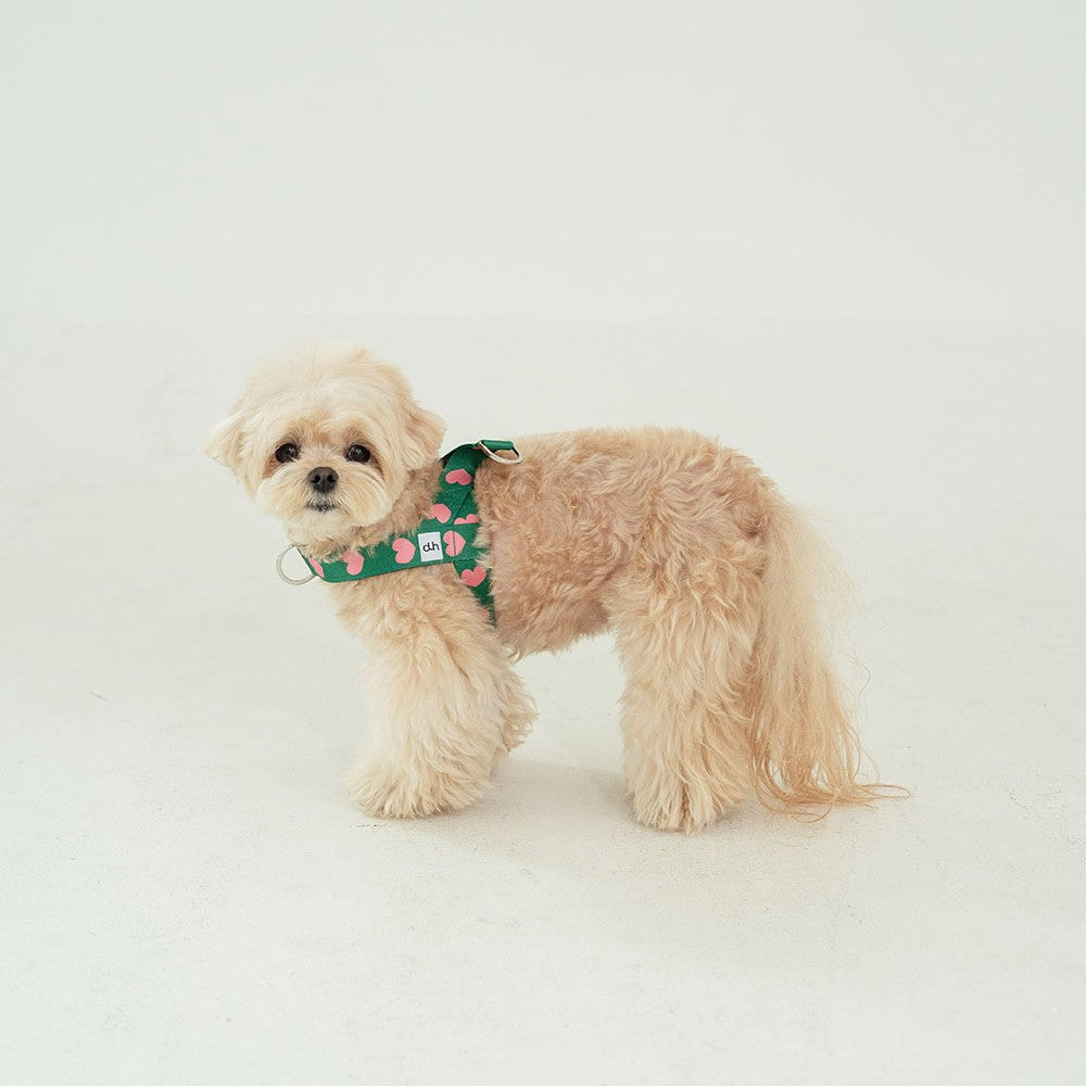 【予約】heart bongbong harness