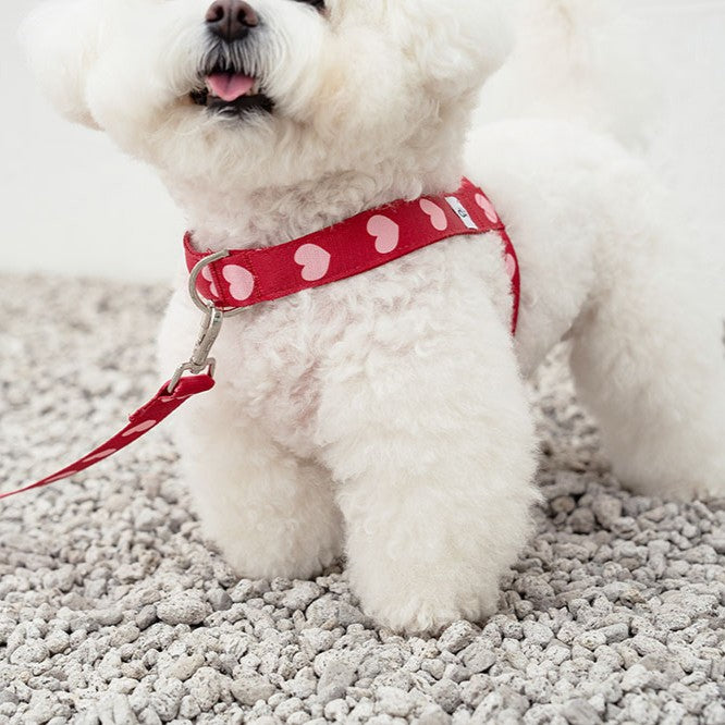 【予約】heart bongbong harness
