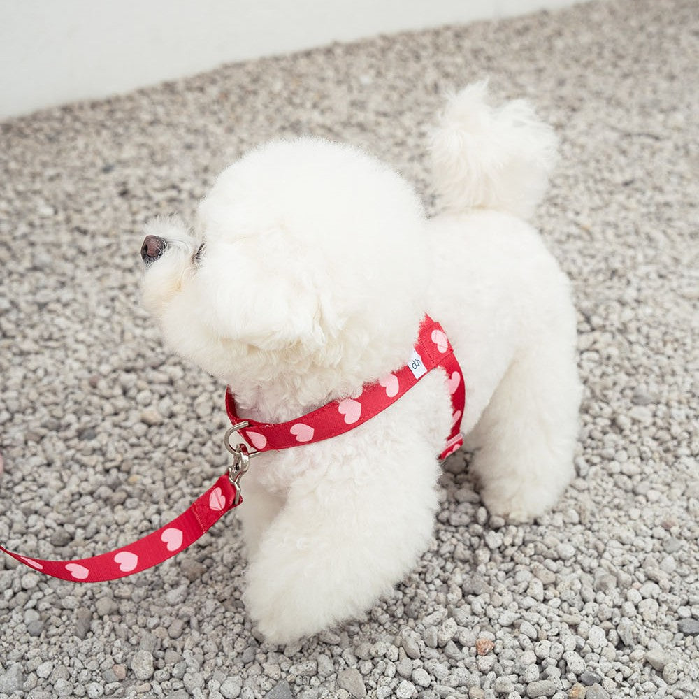 【予約】heart bongbong harness