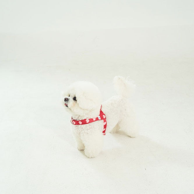 【予約】heart bongbong harness