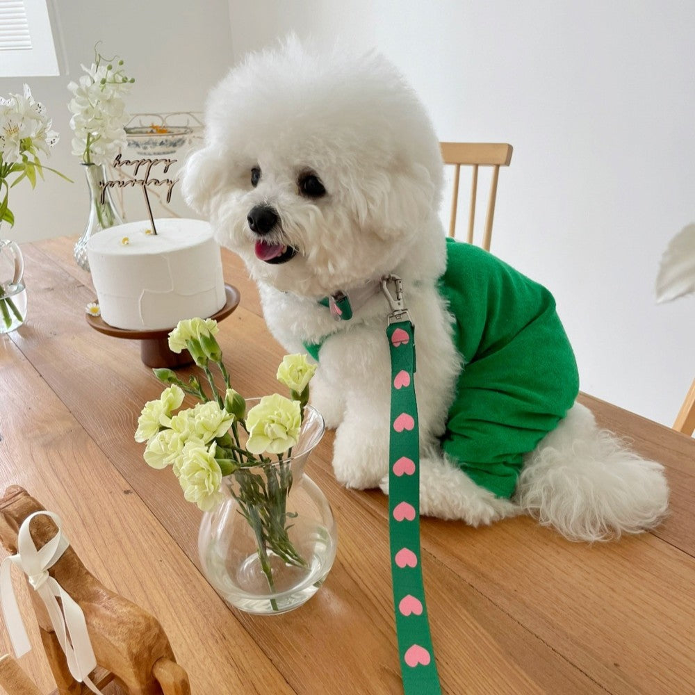 【予約】heart bongbong collar