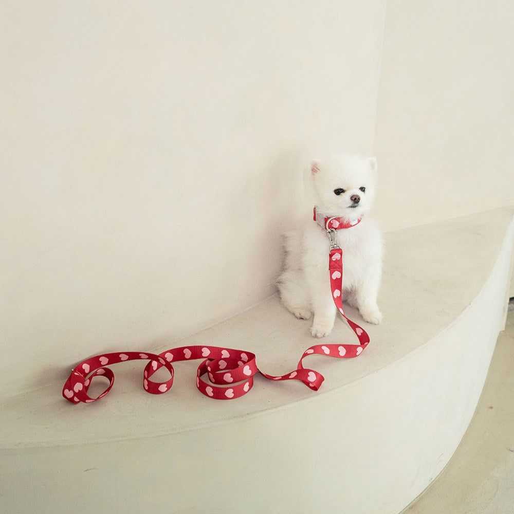 【予約】heart bongbong collar