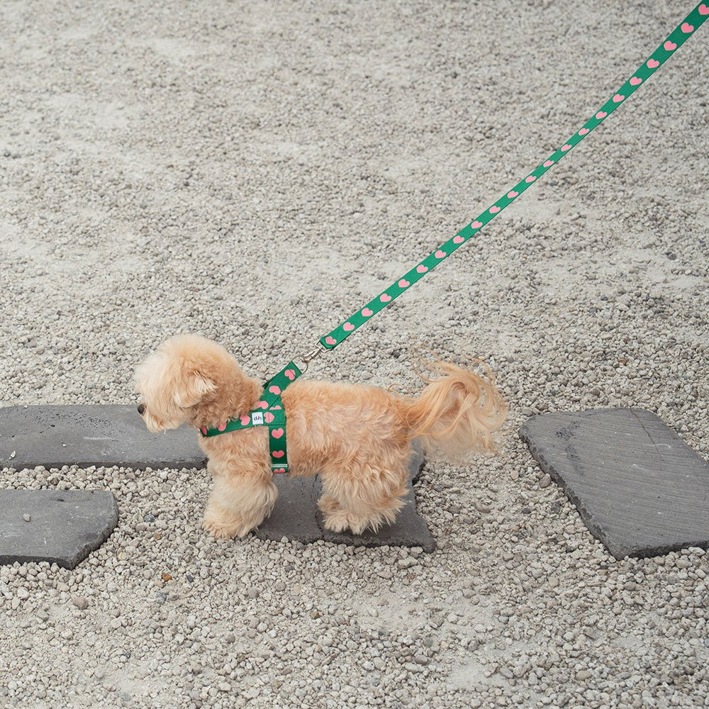 【予約】heart bongbong harness
