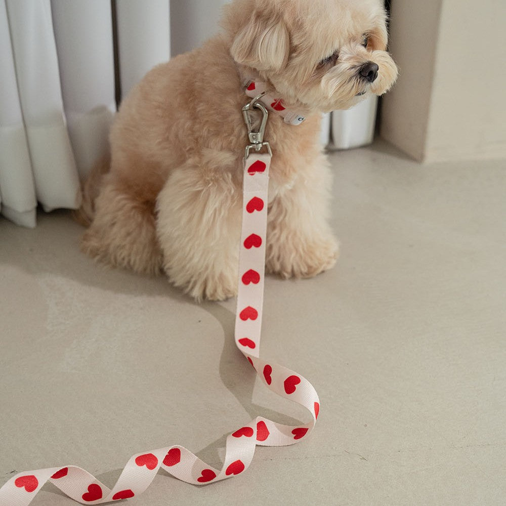 【予約】heart bongbong collar