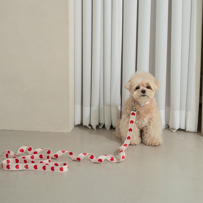 【予約】heart bongbong collar