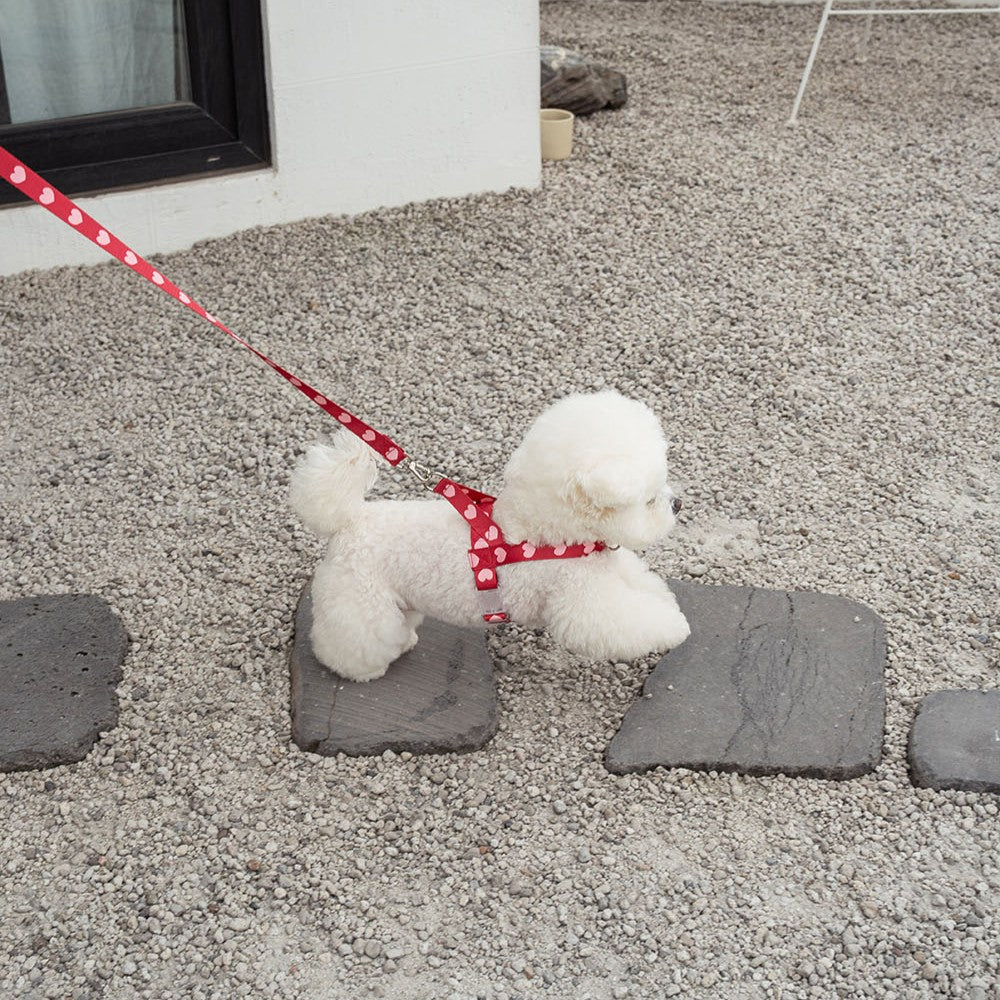 【予約】heart bongbong harness