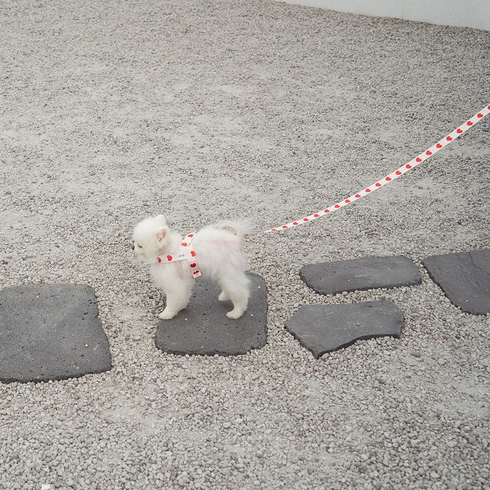 【予約】heart bongbong harness