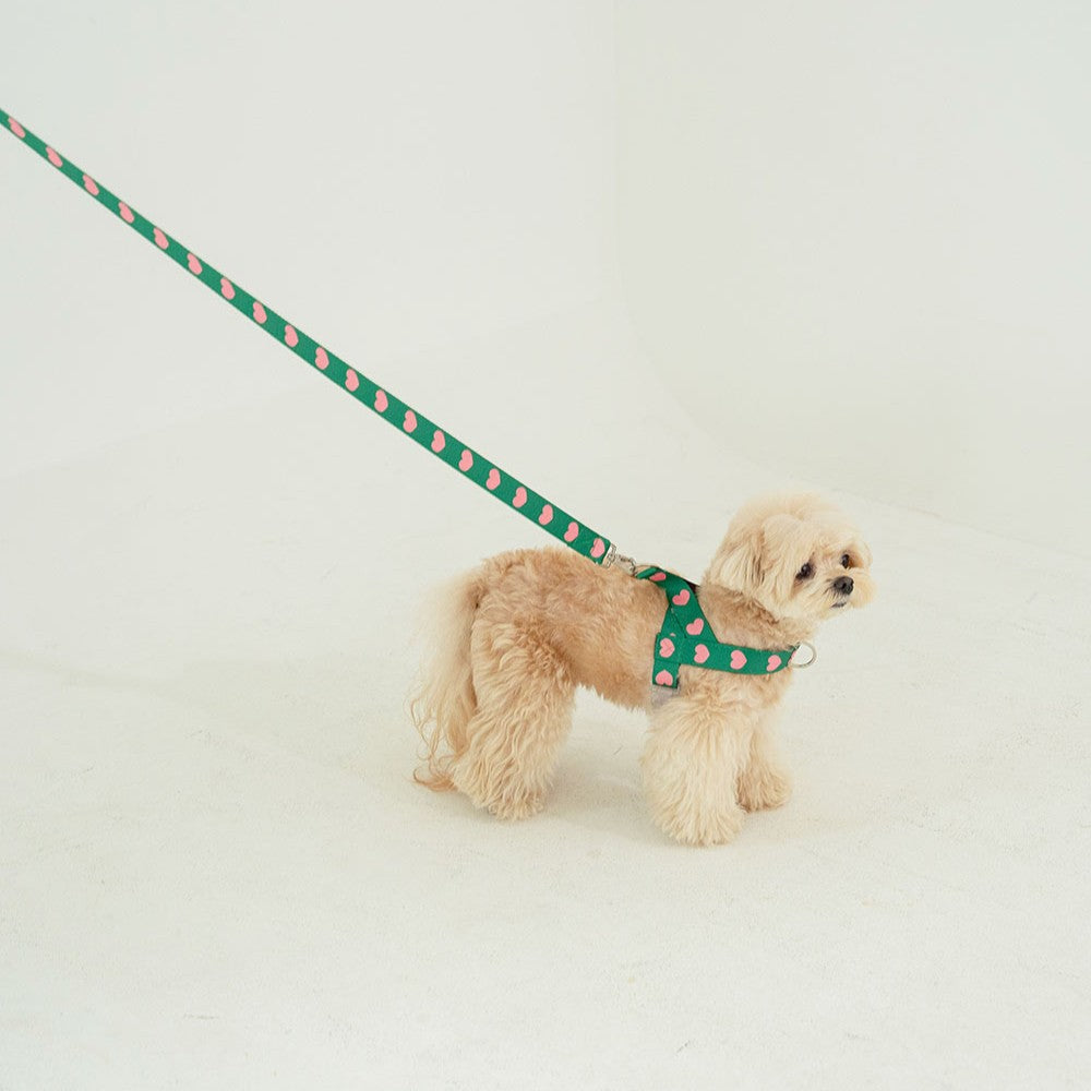 【予約】heart bongbong harness